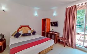 Hotel Elephant Park - Most Elephant Bathing View Rooms In Pinnawala